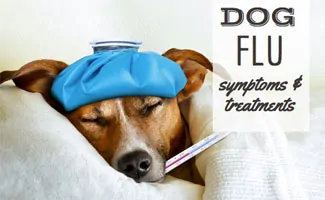 Sick dog on bed with flu (caption: Dog Flu Symptoms & Treatments)