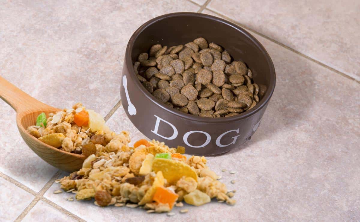 Best High Fiber Dog Food Low Fat Small Breeds Puppies More
