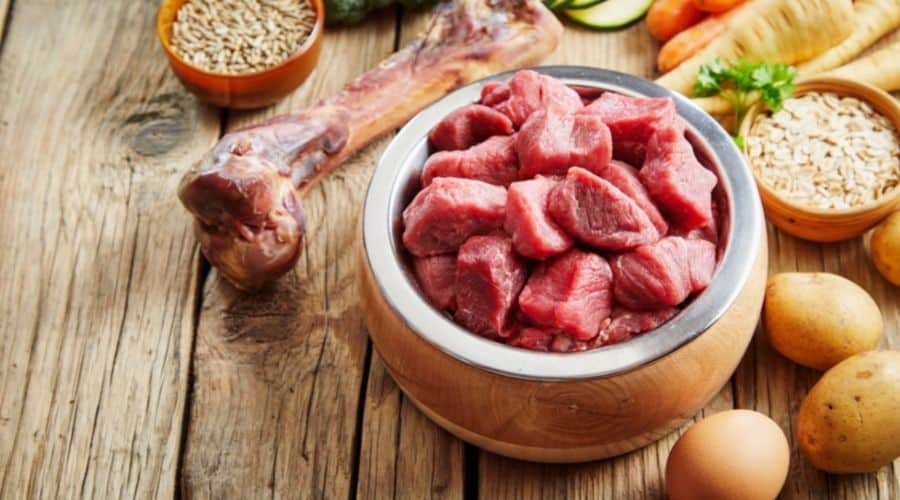 Dog food ingredients