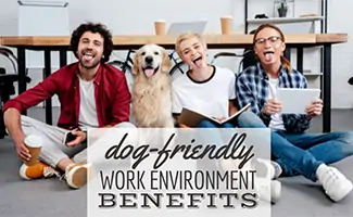 People at work with dog (Caption: Dog-Friendly Work Environment Benefits)