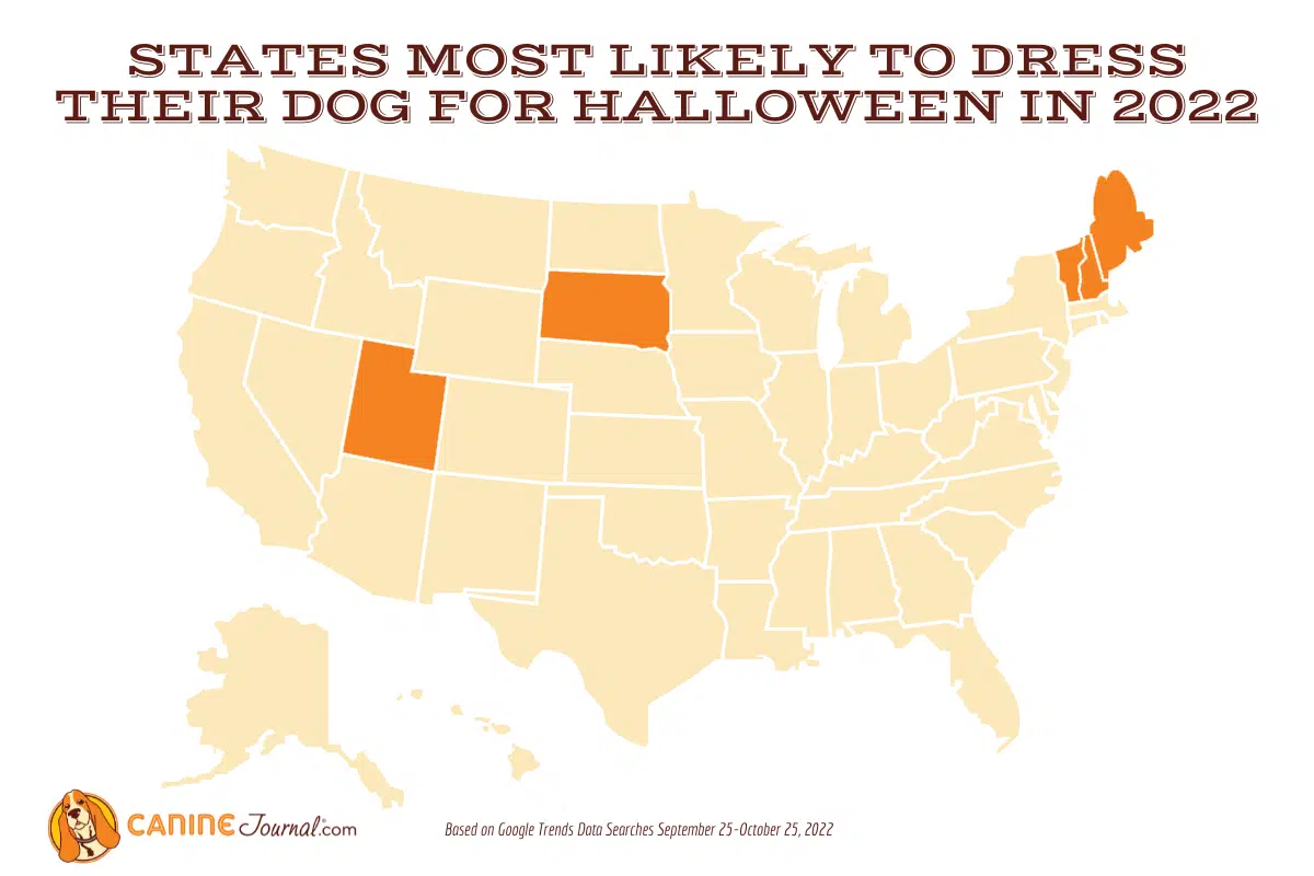 Map of states most likely to dress their dogs up for Halloween in 2022