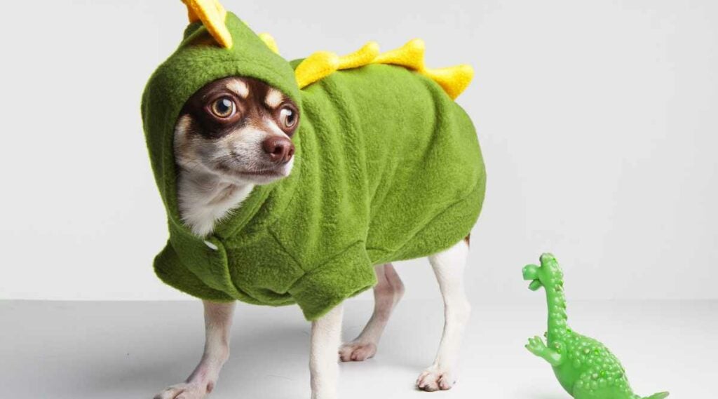 dog in a dragon costume next to a dragon toy