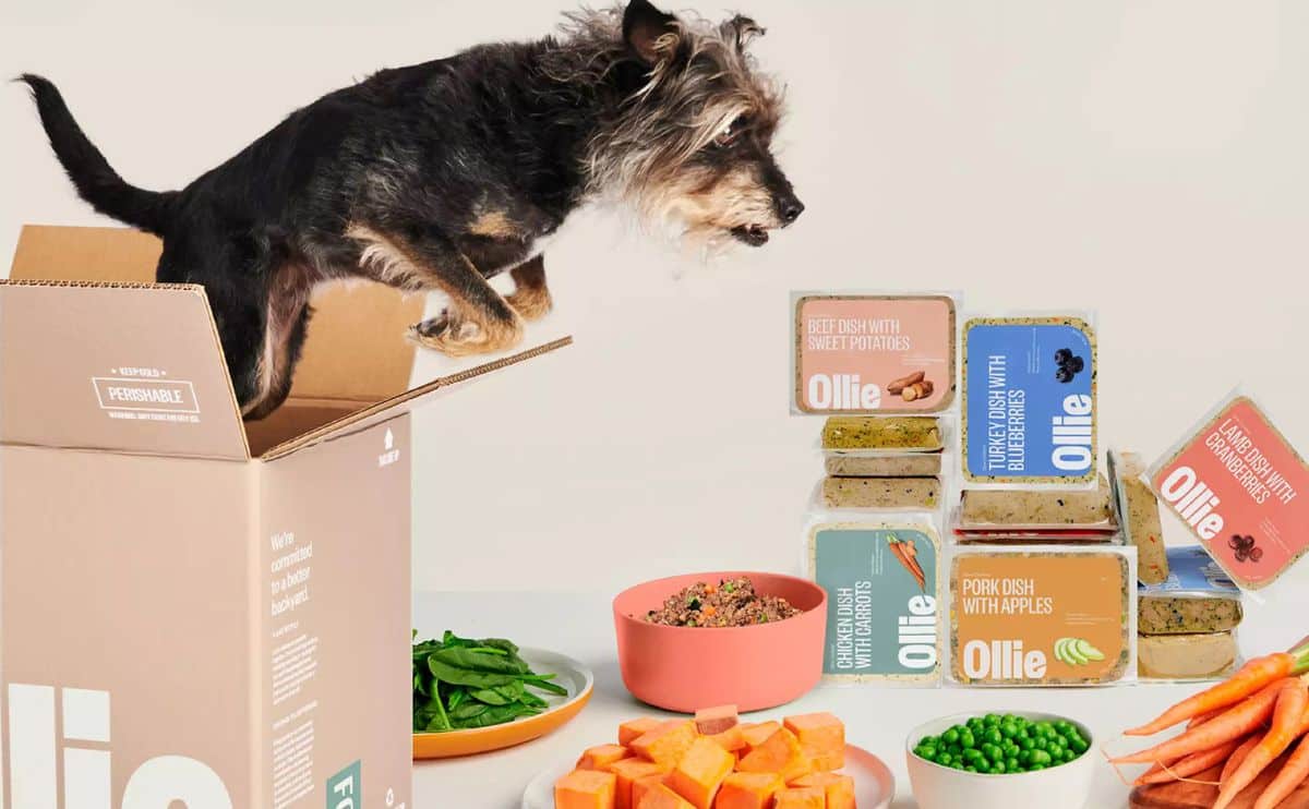 Tocopherols In Dog Food What Are They Are They Safe Canine Journal Tocopherols In Dog Food What Are They Are They Safe Canine Journal