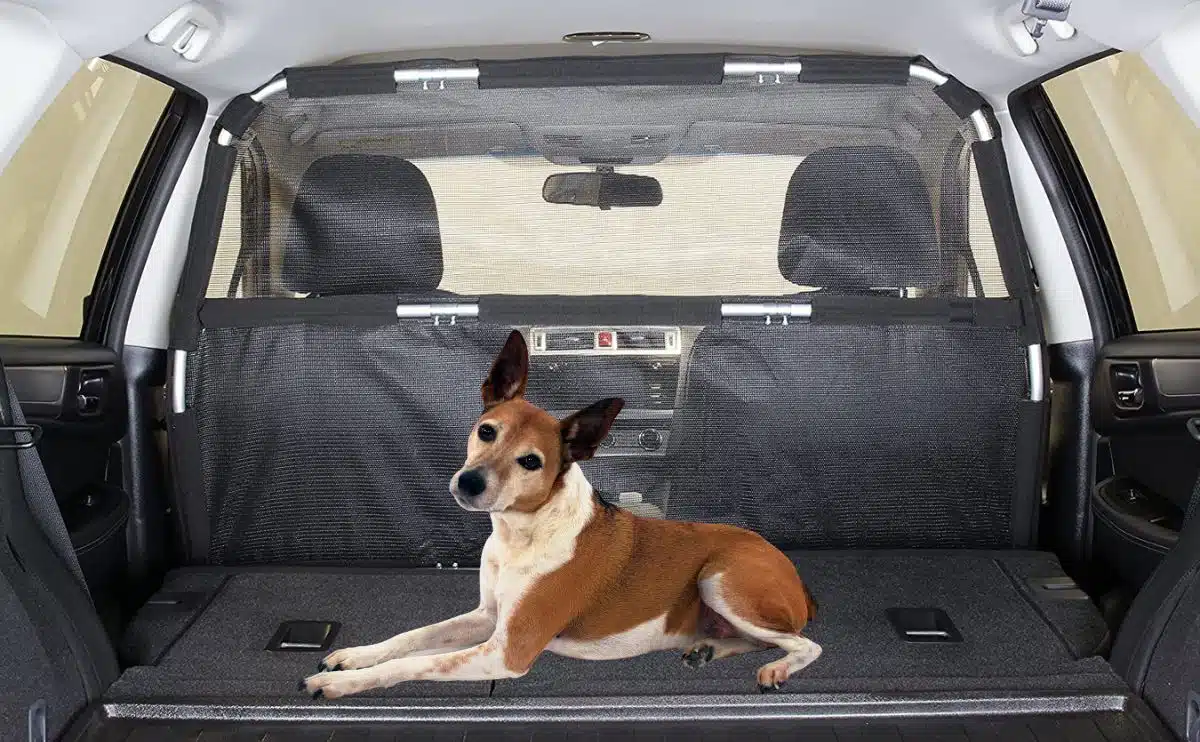 dog laying in the back seat of SUV with barrier between front and back seats