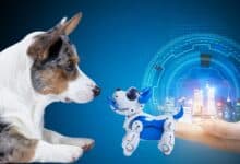 Dog looking at robot with futuristic background.