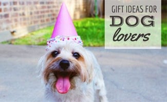 Dog with party hat: Best Gifts for Dog Lovers