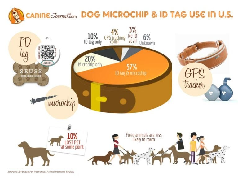 Why Microchip Your Dog? Preventing The Loss Of Your Pet