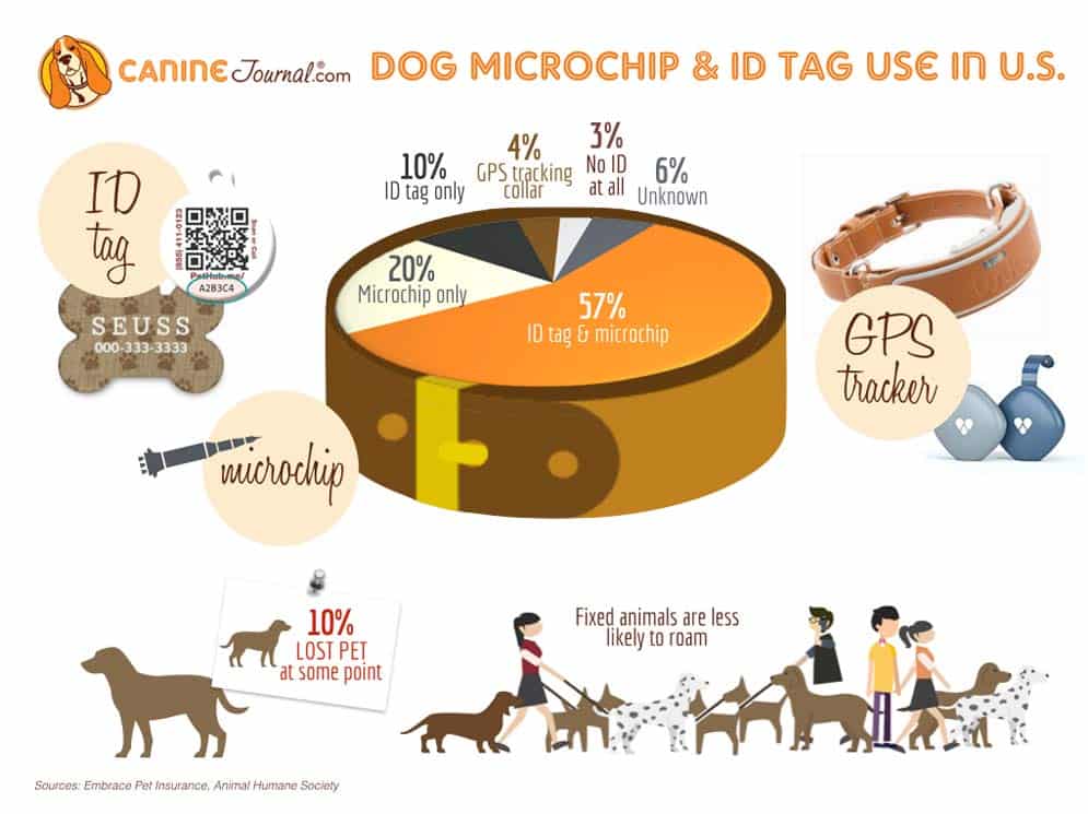 best dog microchip registry