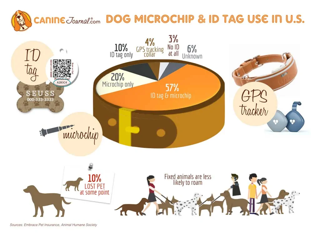 Infographic: Dog microchip & ID tag use in US