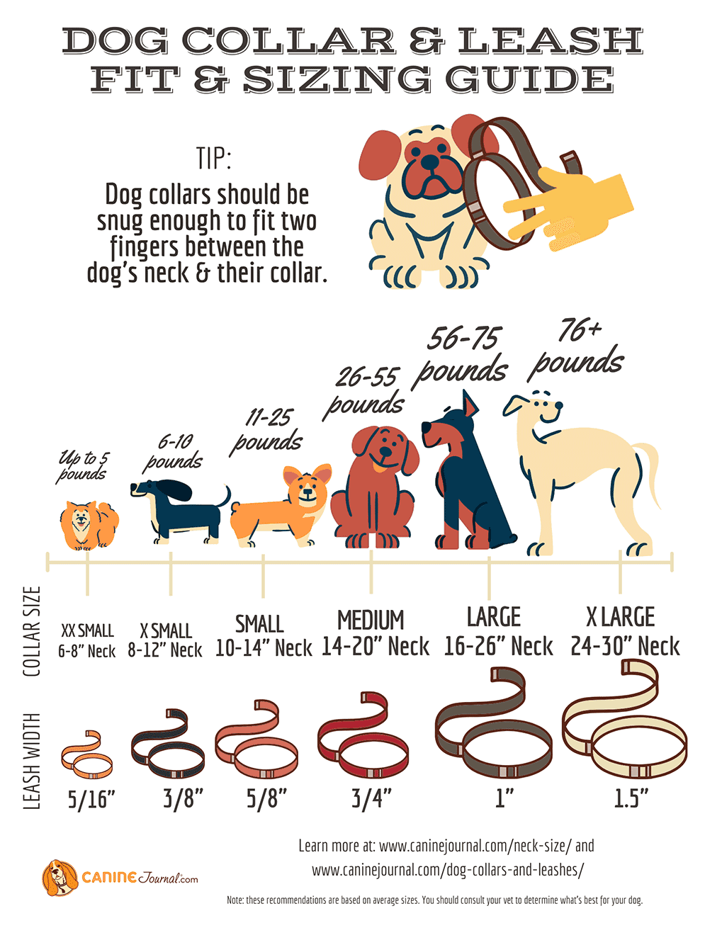 Dog collar and leash fit and sizing guide