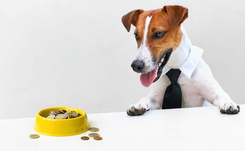 Dog next to bowl of coins.