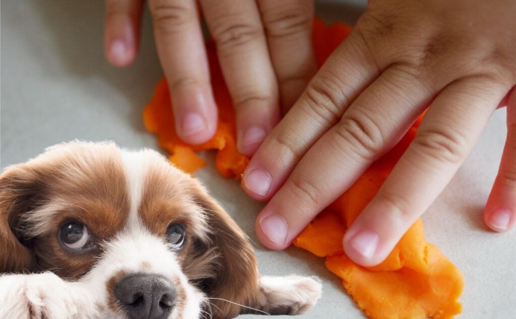 Dog next to hands with play dough.