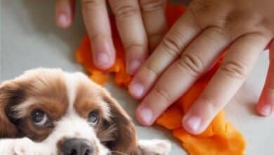 Dog next to hands with playdough.