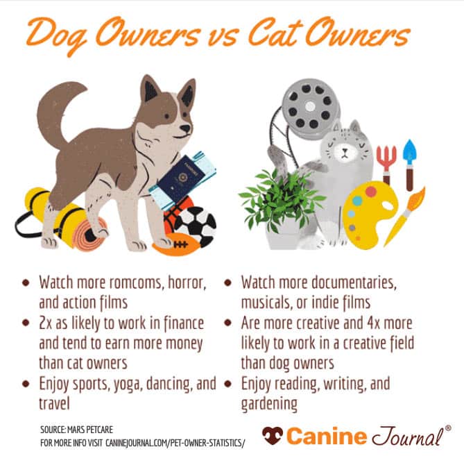 Dog Owners vs Cat Owners