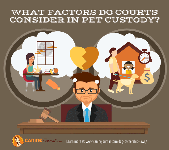 Infographic: Pet custody considerations