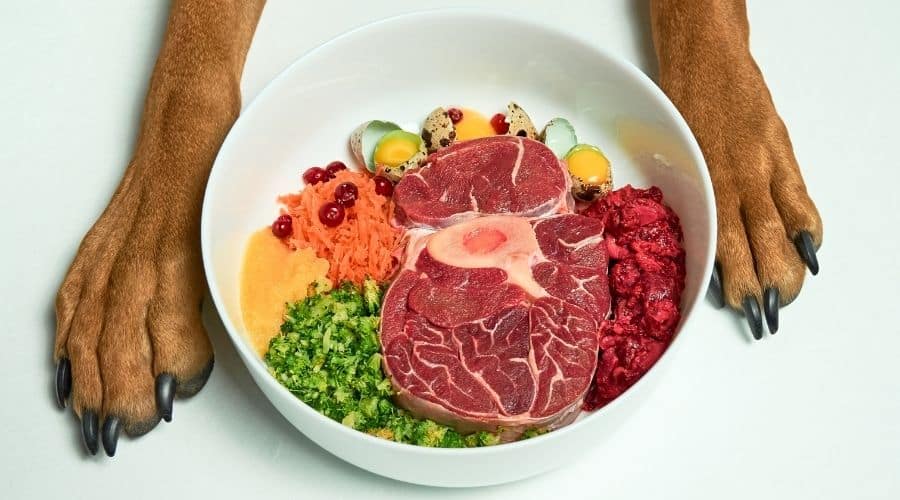 Dog paws with bowl full of ingredients