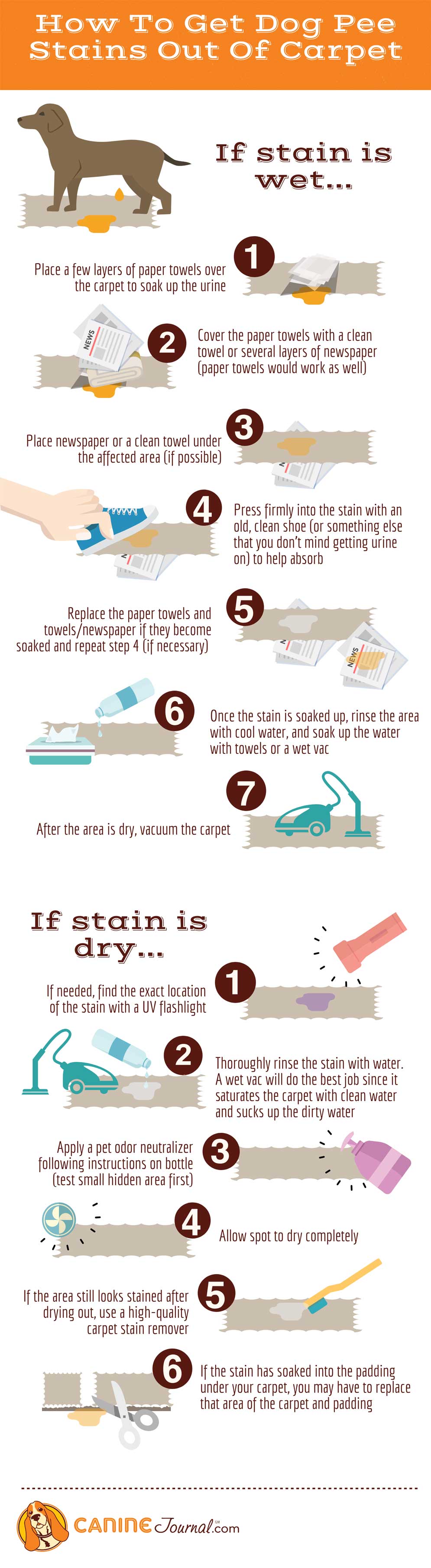 get dog urine stain out of carpet online -