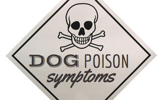 Symptoms of Dog Poisoning Signs (Caption: Dog Poison Symptoms)