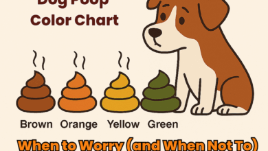 dog poop color chart png
