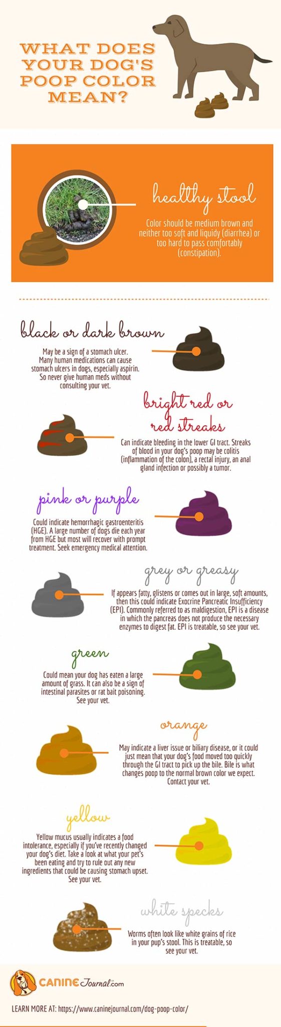 Dog Poop Color Chart Find Out What Each Color Means Dog Poop Color 