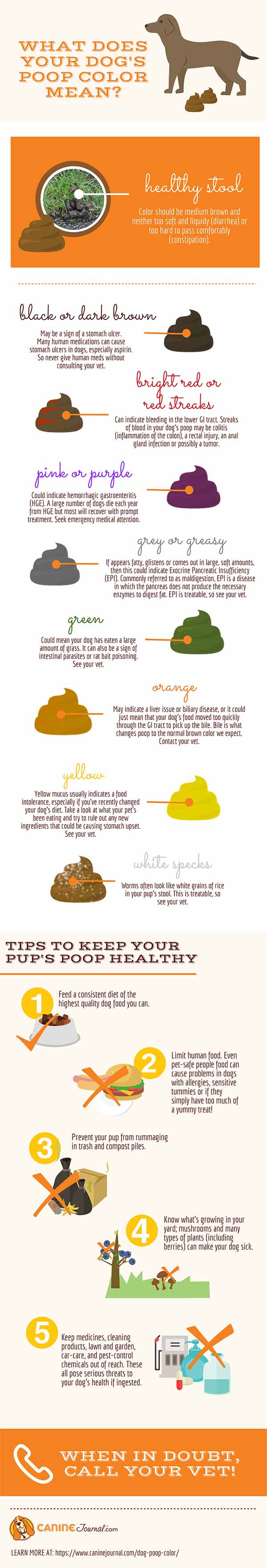 Dog Poop Color Chart Infographic.