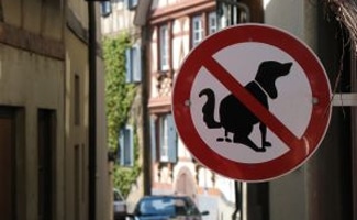 No Dog Poop Sign in urban city