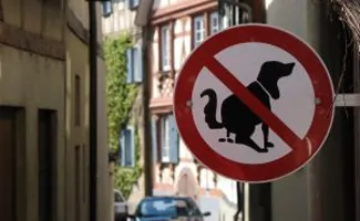 No Dog Poop Sign in urban city