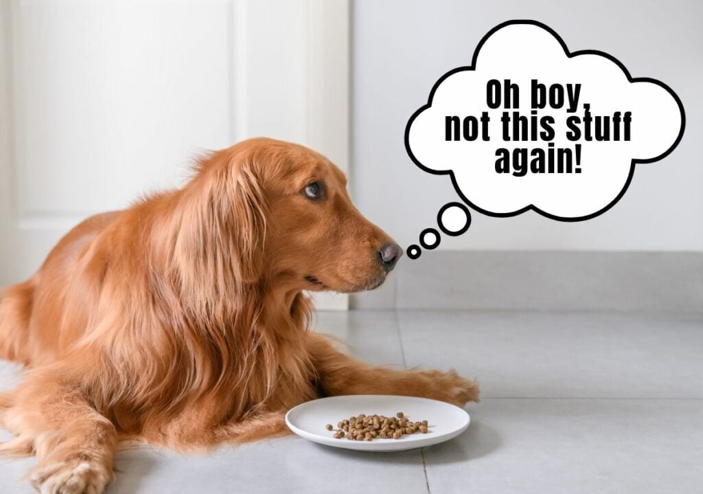 Dog refusing to eat plate of food with speech bubble saying