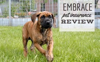 Embrace Pet Insurance Review One Of The Best Caninejournal Com