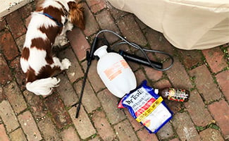 Dog-friendly weed killer