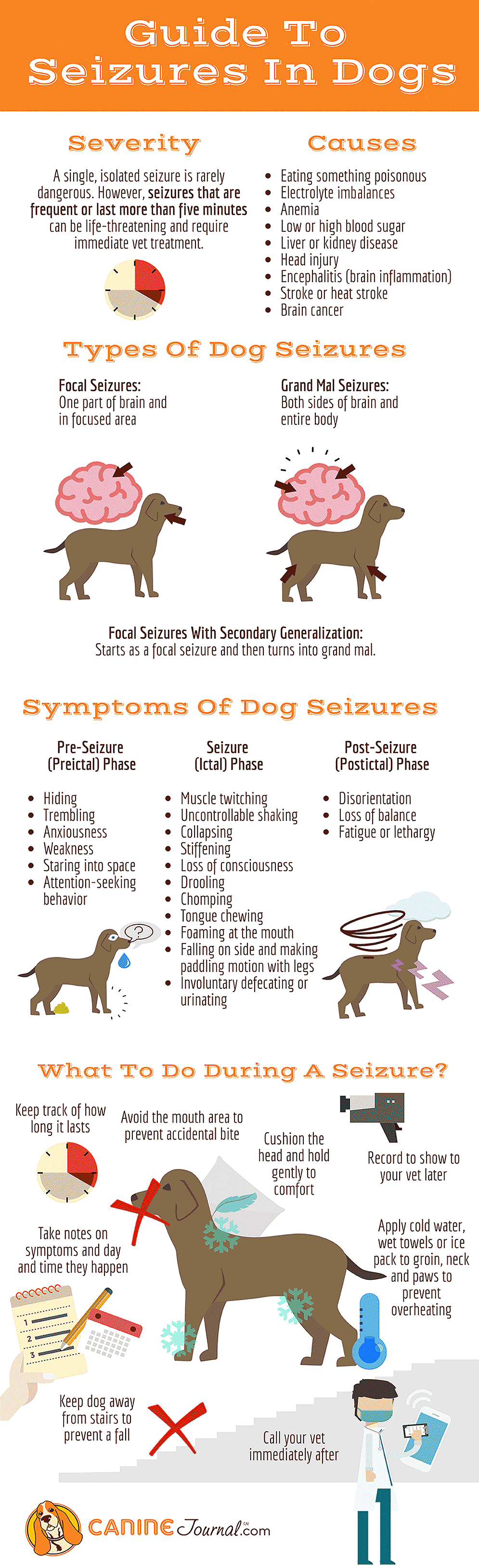 How Do I Know If My Dog Is Having A Seizure how-do-i-know-if-my-dog-is-having-a-seizure