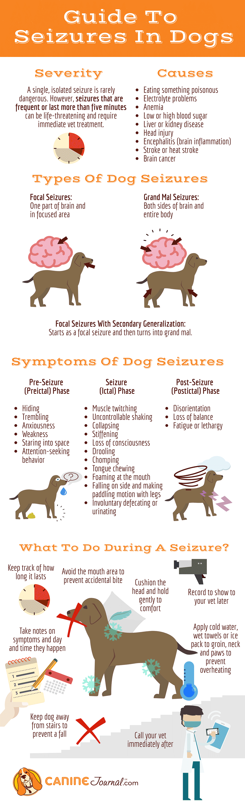 types of dog seizures