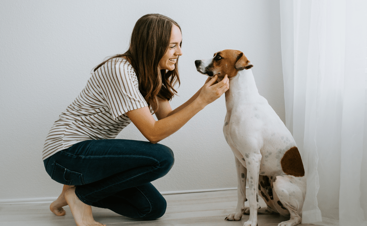 Loving woman dog sitter with a dog at home