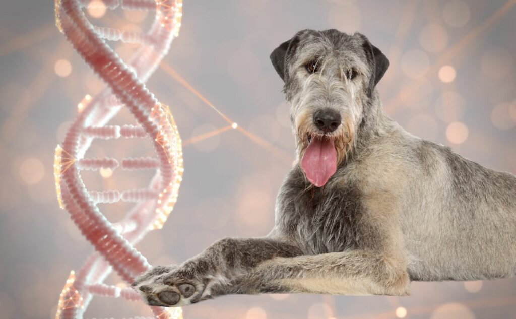 Dog sitting next to dna strands in the background.