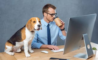 A person dressed in a blue button-up shirt and blue tie working at a desktop computer while a dog sits on the desk next to them.