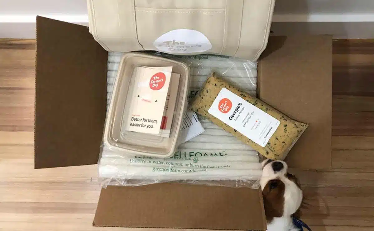 dog sniffing the farmer's dog box with food on top