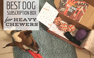 dog subscription box for chewers