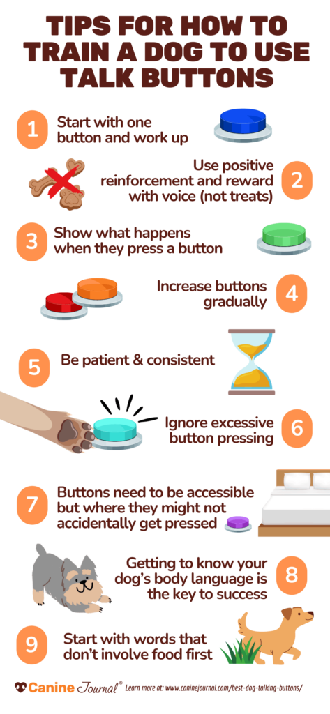 dog talk button tips png