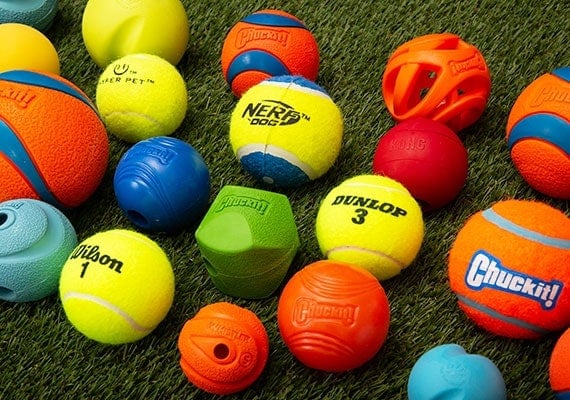Dog tennis balls waiting to be tested and reviewed to find the best