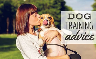 Woman holding dog kissing face (caption: Dog Training Advice)