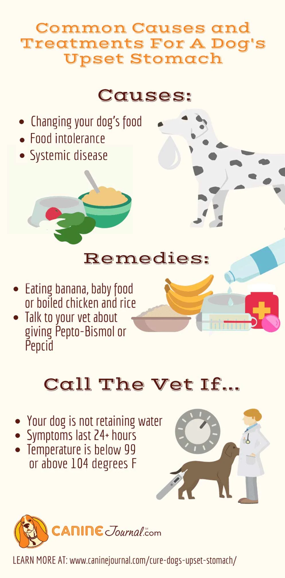 Common Causes and Treatments For a Dog's Upset Stomach Infographic.