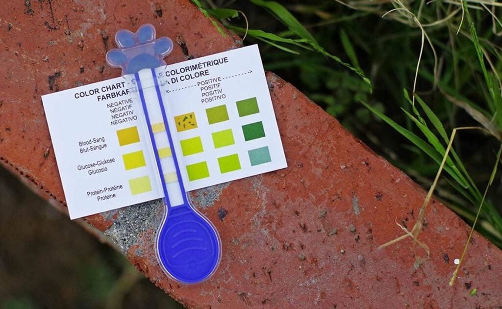 Dog urine test strip on a brick outside with color analysis chart.