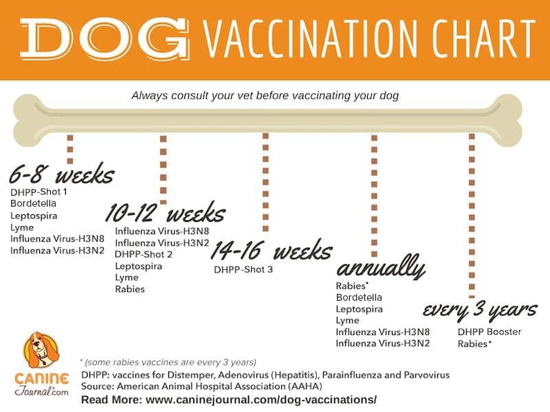 Dog Vaccination Chart