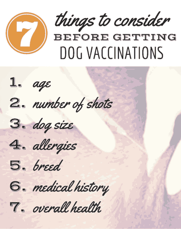 Dog Shot Schedule Chart