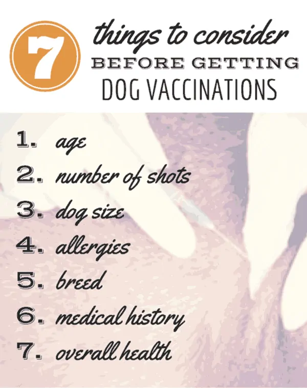 dog lyme vaccine side effects dog lyme vaccine side effects