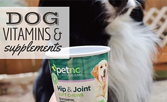 Hond met bakje gewrichtssupplementen (bijschrift: Dog Vitamins Supplements)