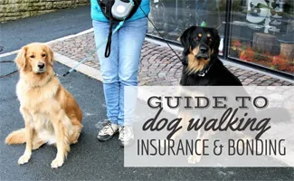 Girl walking two dogs on leashes (caption: guide to dog walking insurance and bonding)