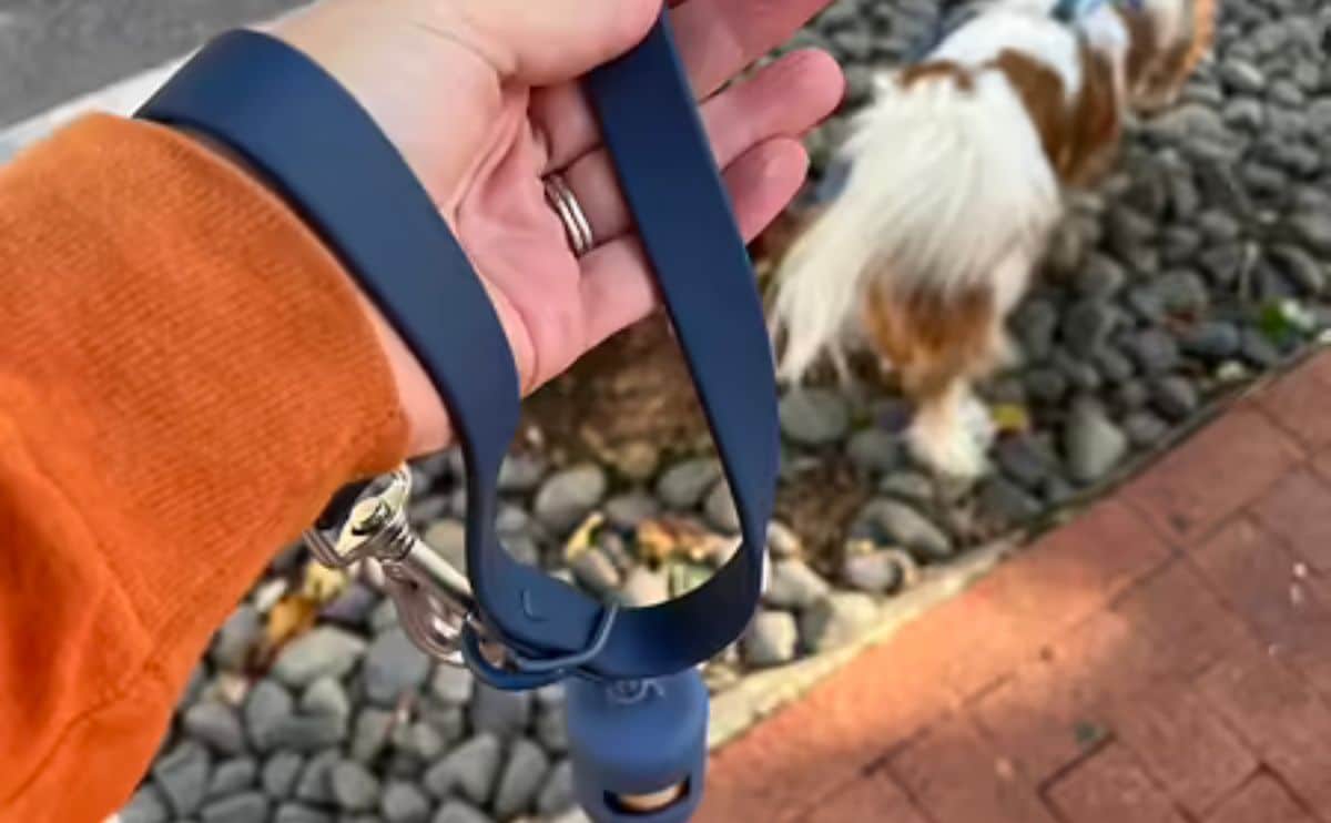 Dog walking with wild one dog leash and poop bag holder
