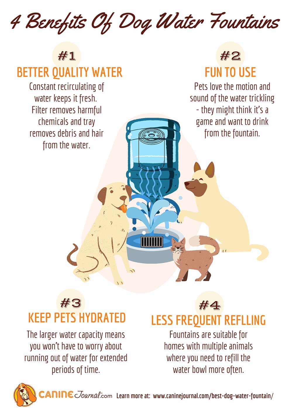 Dog Water Fountain Benefits Infographic