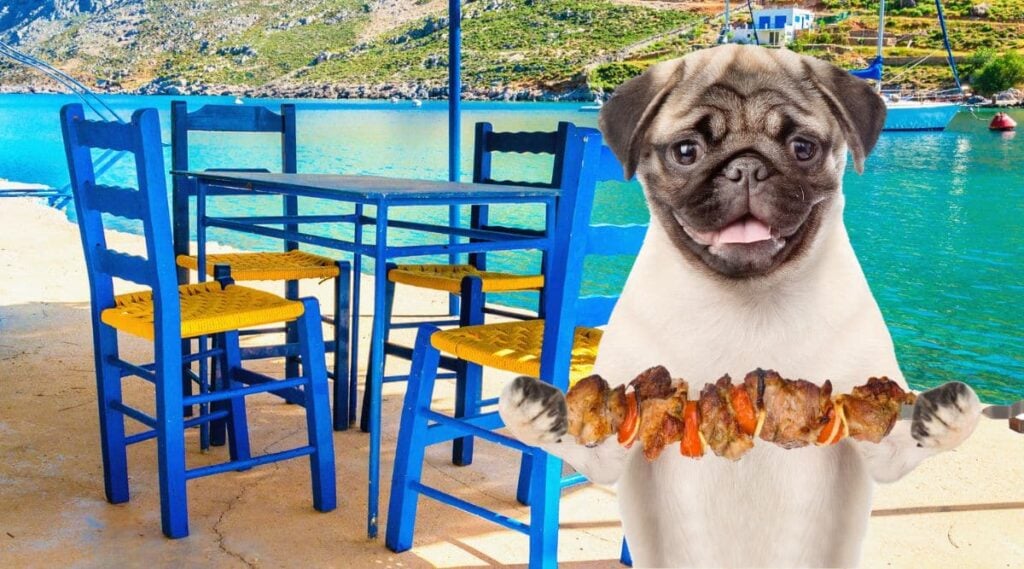 dog with kabob in mouth in a Greek resturant